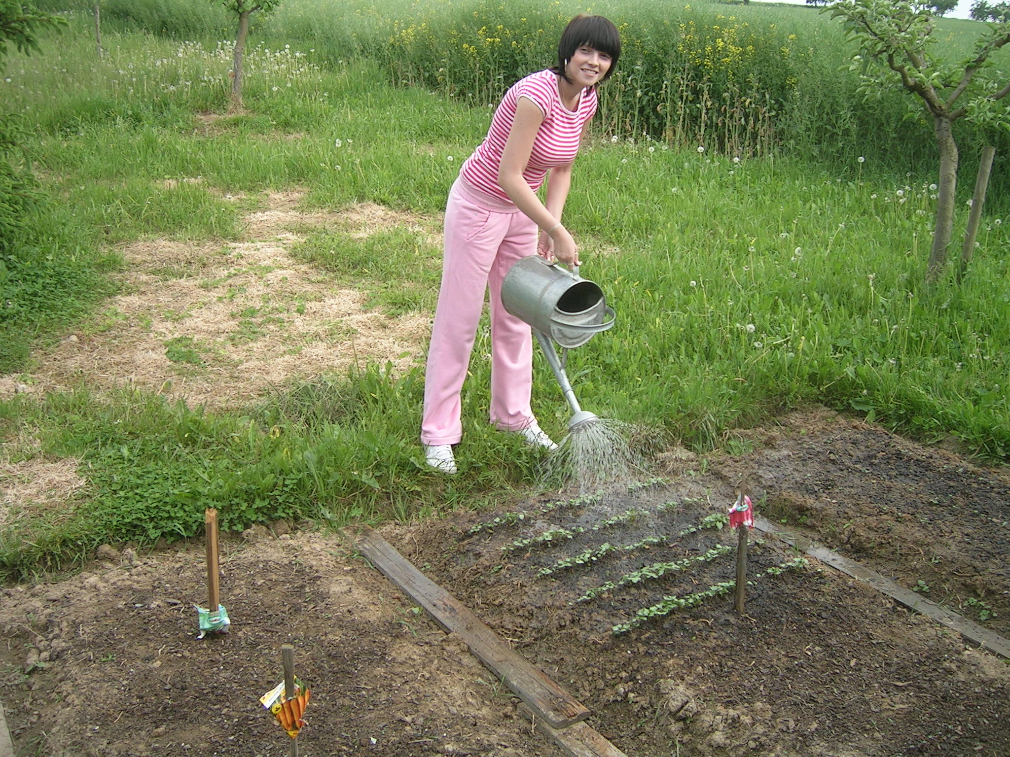 Dscn3578.jpg