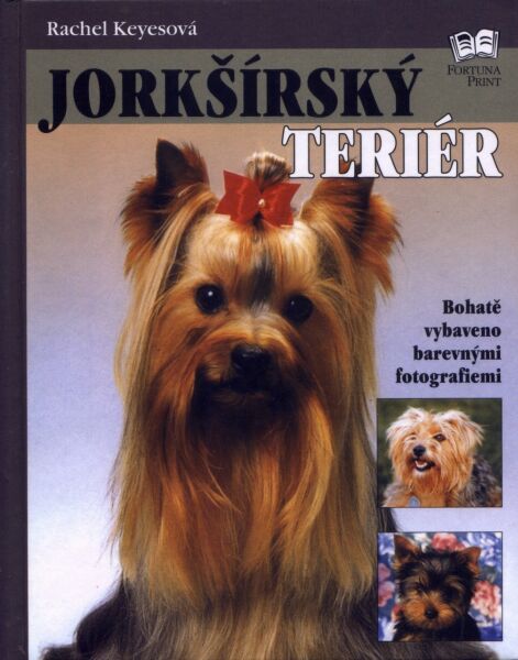 literatura jorki.jpg