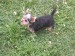 Dscn3575.jpg