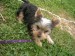 Dscn3589.jpg